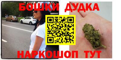 индика Балахна