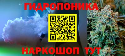 индика Балахна
