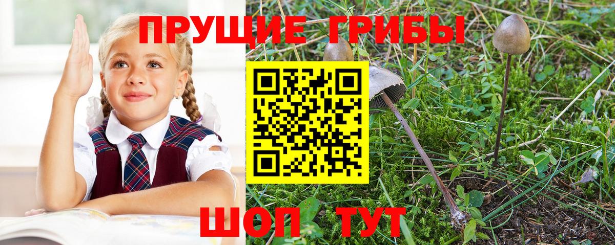 Галлюциногенные грибы Cubensis Екатеринбург