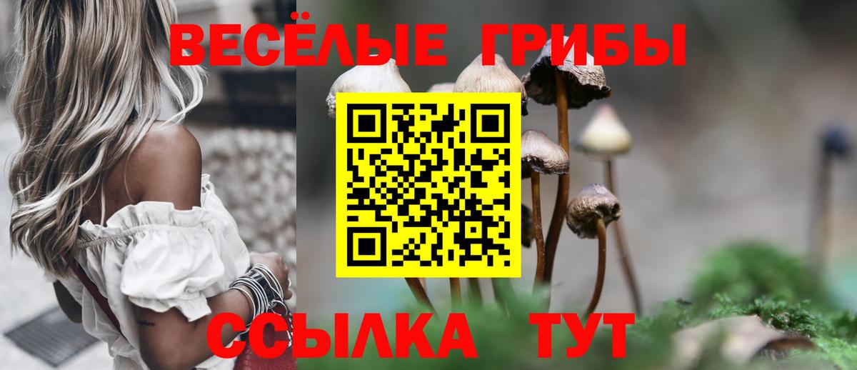 Галлюциногенные грибы Magic Shrooms  купить закладку  Псилоцибиновые грибы Magic Shrooms  Екатеринбург  Вход с VPN 